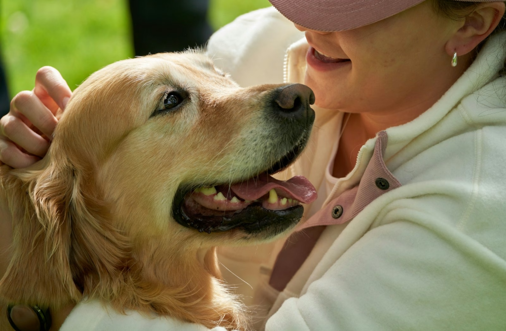 How Service Dog Certification and Emotional Support Dog Registration Are Changing Lives