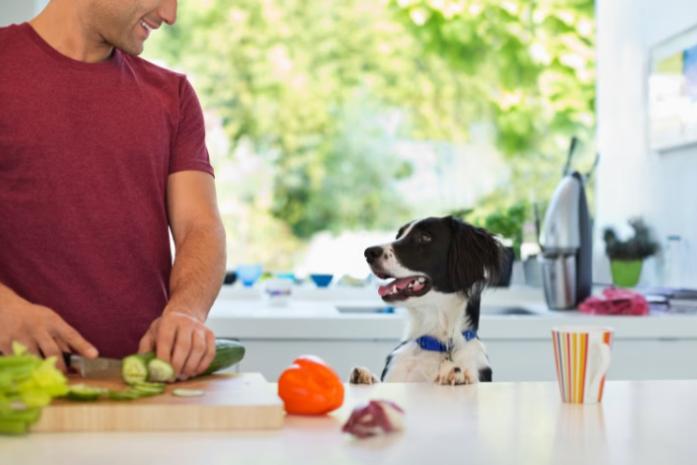 Creating a Dog-Friendly Kitchen: Essential Tips for Pet Owners